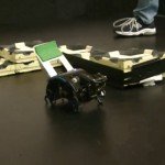 Agiscono autonomamente senza seguire alcuna istruzione.