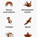 Birdscout