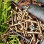 Sample fotocamera posteriore Galaxy S6 scattate da utenti