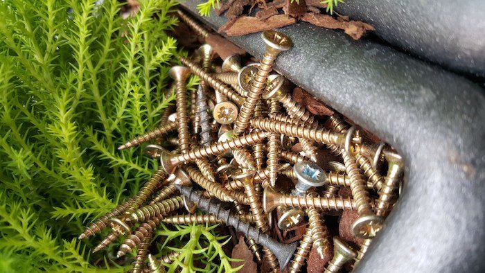 Sample Galaxy S6 fotocamera posteriore scattata da Samsung