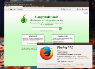 Come fare per navigare anonimi con Tor Browser
