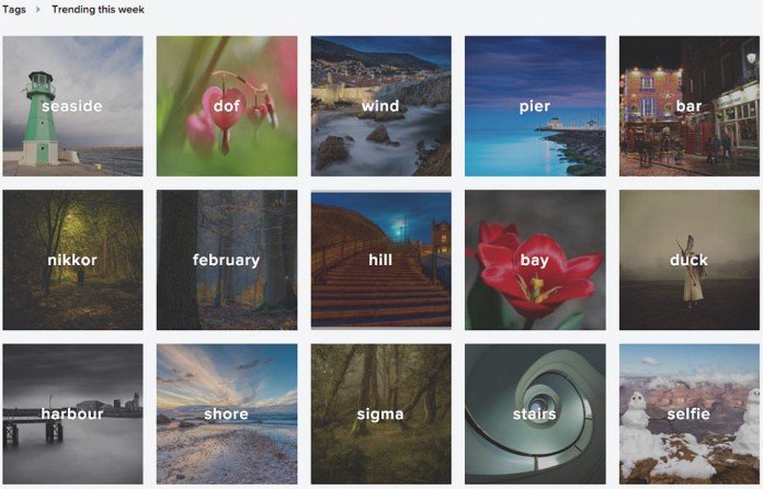 flickr 01
