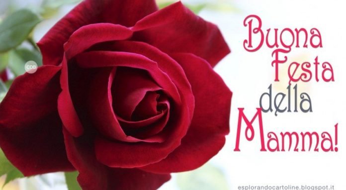 festa della mamma 2017 05