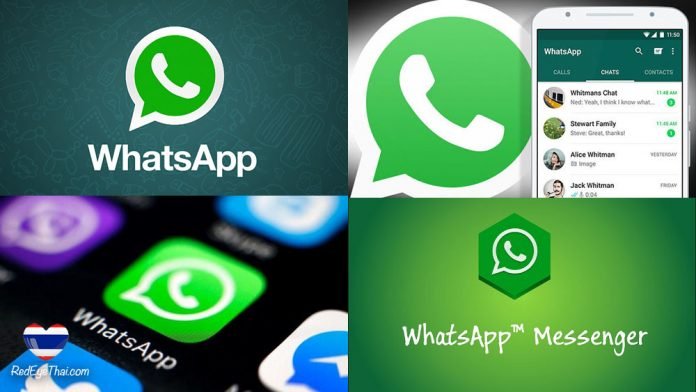 WhatsApp 15