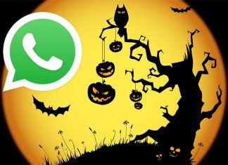 Halloween 2017: migliori frasi auguri, video, foto, immagini, cartoline, WhatsApp, Facebook. Link e siti web