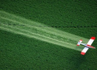 Prosecco, via il glifosato mediante il geranio ma non basta