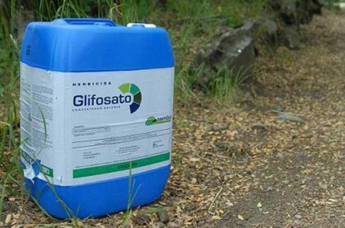 Glifosato