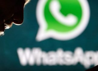 WhatsApp per Android, arriva Facebook Pay e nuovi aggiornamenti di stato WhatsApp