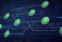 Chat Control, cosa ha approvato l’Europa il 9 luglio: quali messaggi possono essere scansionati e perché WhatsApp resta fuori WhatsApp business