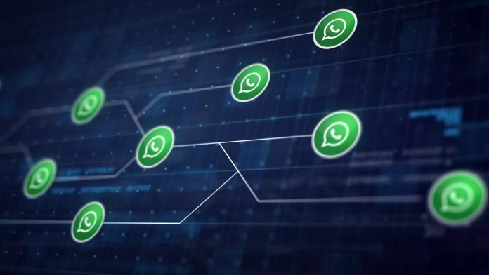WhatsApp business WhatsApp business